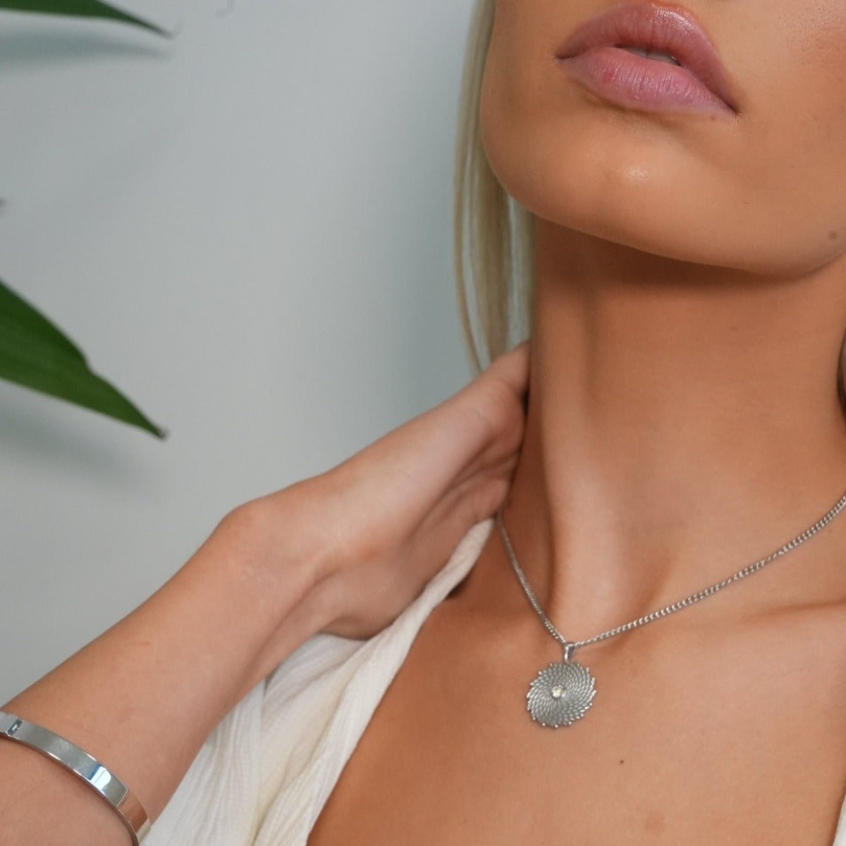 Collar brillante - Plata